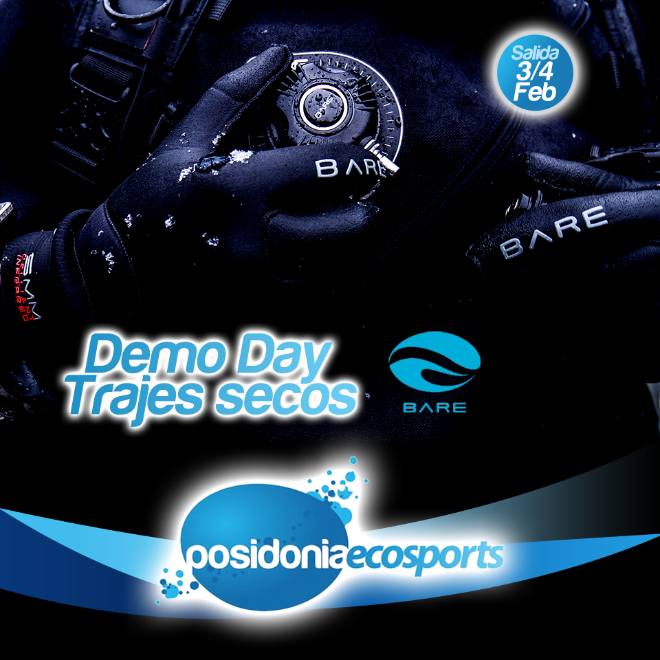 posidonia_publicacion_BARE