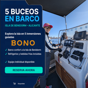 Bono de 5 buceos de barco