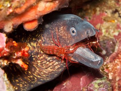 5628439103_4e744fec21