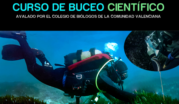 curso de buceo cientifico