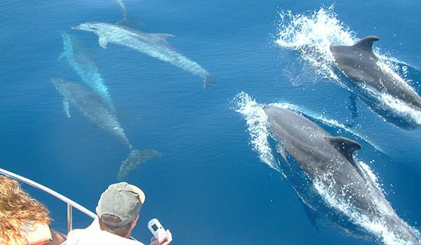 posidonia-ecosport-04